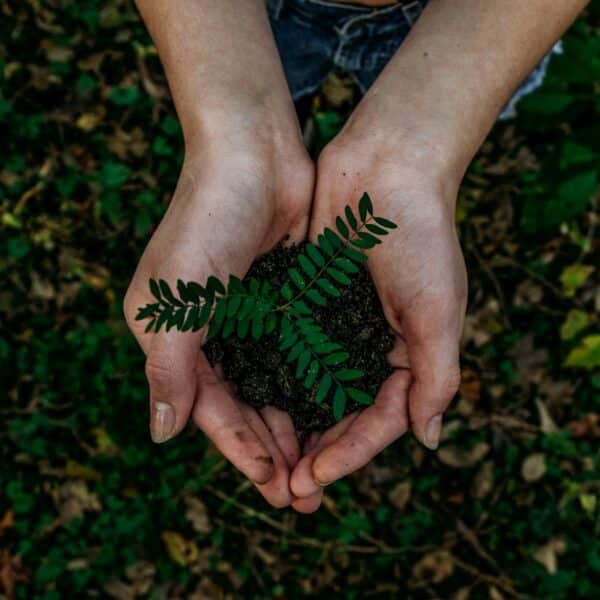 Sustainability in Events: Beyond the Plastic Borders