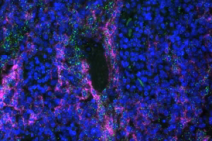 Arcoris Bio raises €6.7M in biomarker detection funding