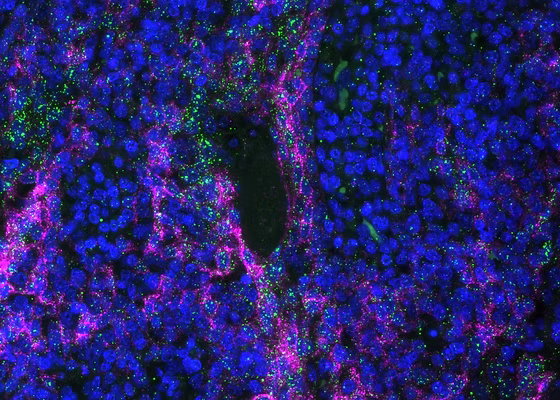 biomarker detection funding