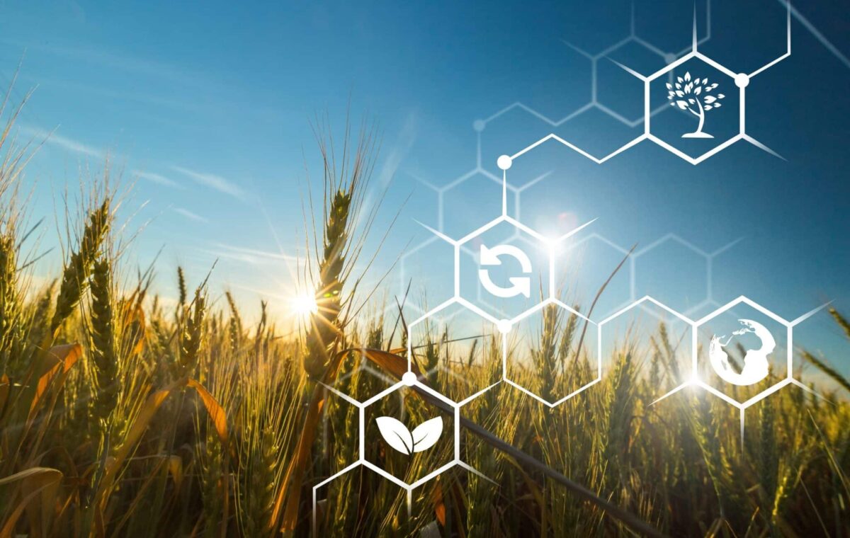 Source.ag raises €16.1M in agtech funding round led by Astanor