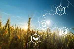 Source.ag raises €16.1M in agtech funding round led by Astanor