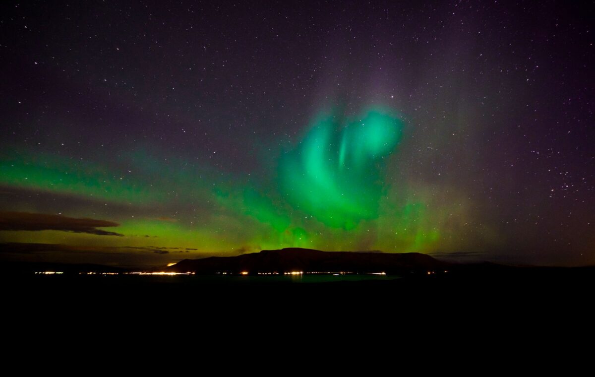 Arctic 10 May 2019 Amsterdam The Netherlands Image copyright Dan Taylor dan@dantaylorphotography.com 1