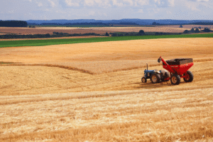 Connecting Food: The Power of Blockchain in the Agri-Food Supply Chain