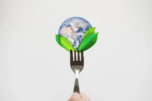 Mondra raises €11.8M Series A for food emissions tech