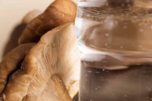 Fungu’it: Food Production with Sustainable Fungal Fermentation
