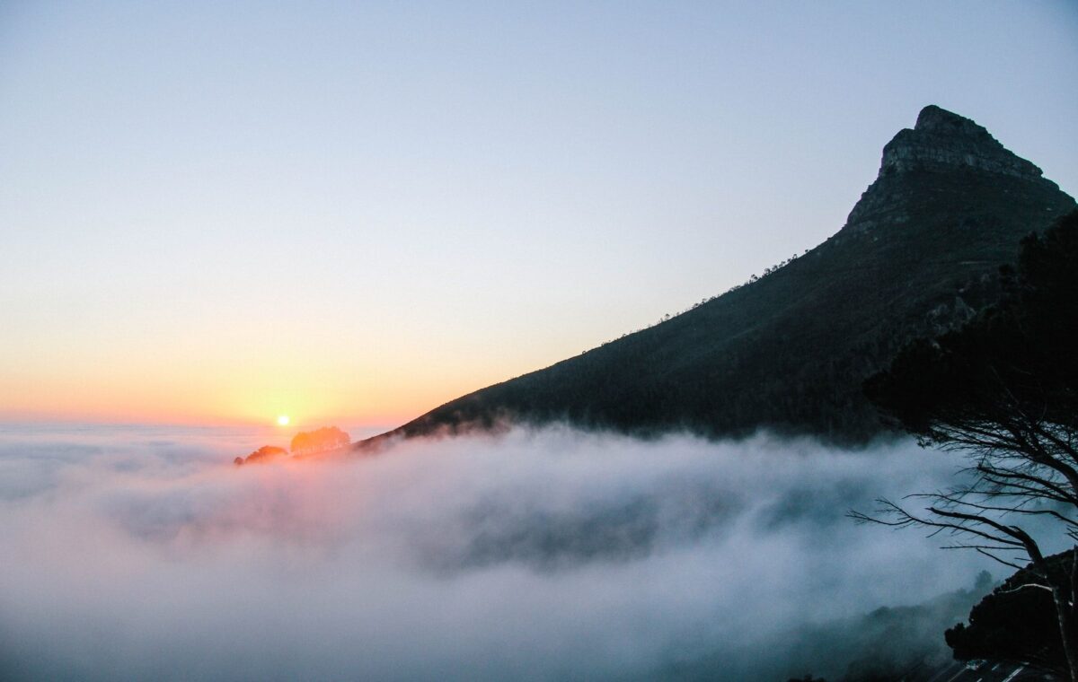 David east mh7Aihgh3rQ unsplash