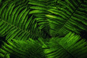 IEEE Green Technologies Conference 2021