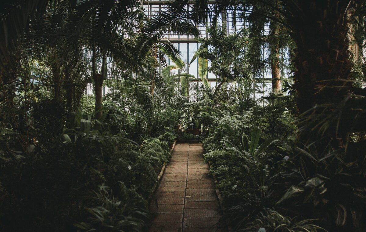 Krisjanis mezulis 0Nos8QpdQOI unsplash