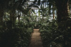 How to Start the Conversation on Sustainability in your Company