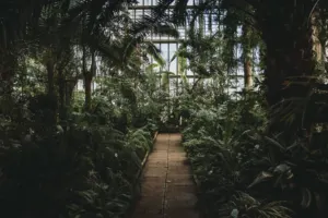 How to Start the Conversation on Sustainability in your Company