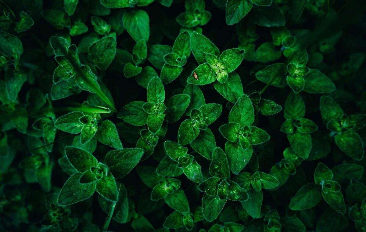 Louis droege bsb3QTm3HiE unsplash