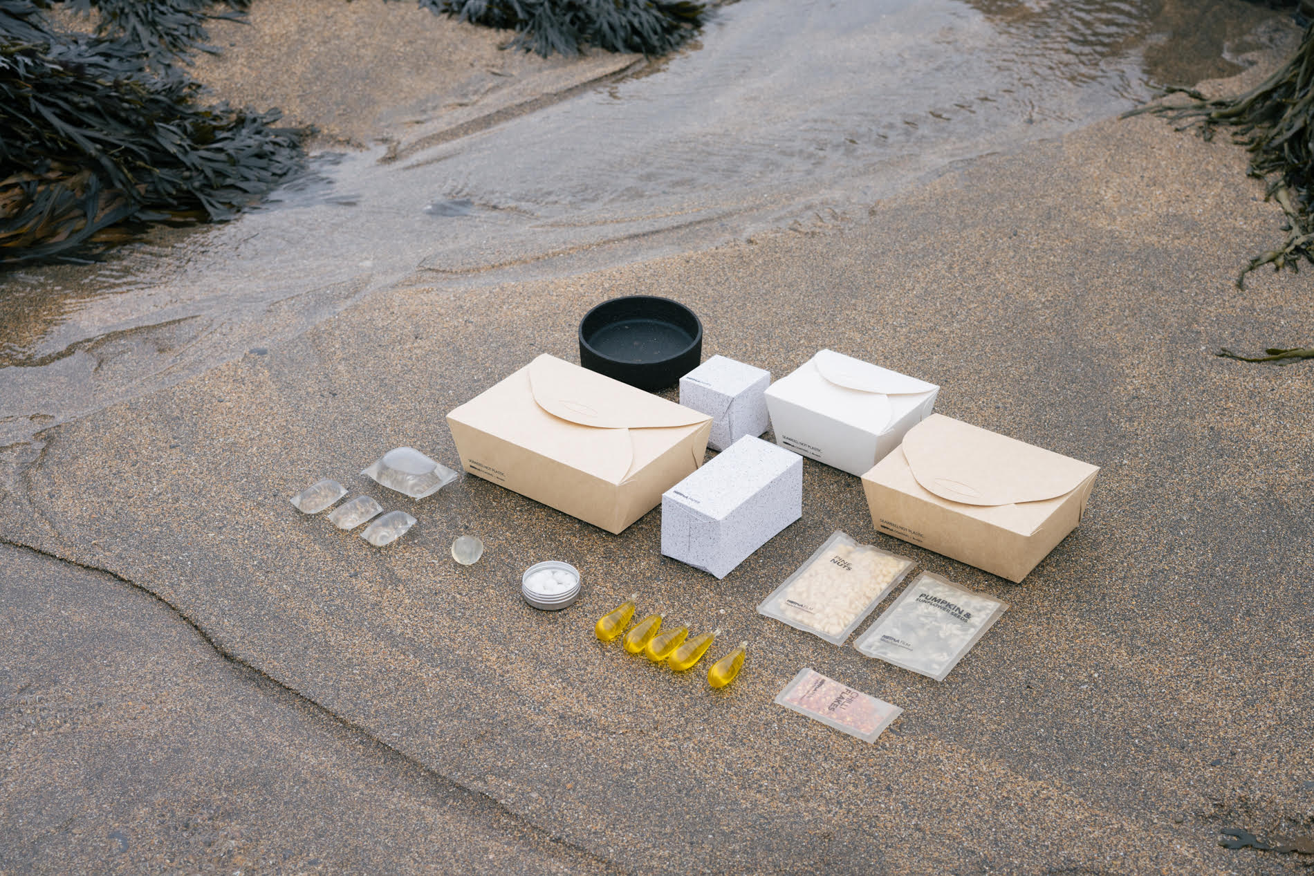 An image of Notpla's full product range, neatly lined up on the seashore, surrounded by fresh kelp.