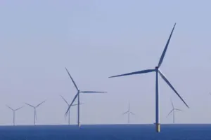 Tree Composites’ Path to Cheaper Offshore Wind