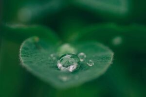6th Annual Sustainability Week