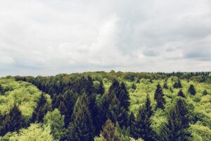 DEEP Startup Ecosystem Conference
