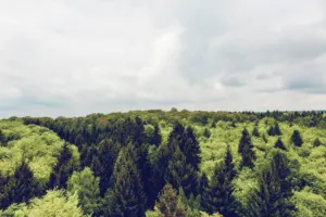 DEEP Startup Ecosystem Conference