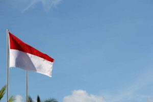 Wild Digital Indonesia 2021