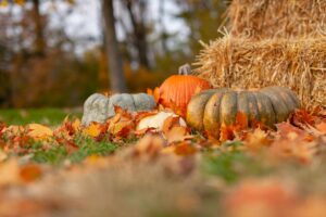 Selected Events: October 2023