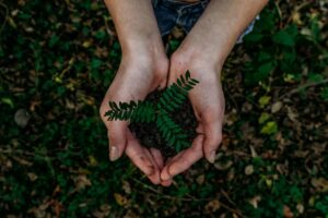 Sustainability in Events: Beyond the Plastic Borders