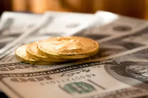 How I Raised My Money