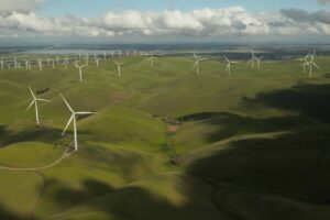 GreenBiz