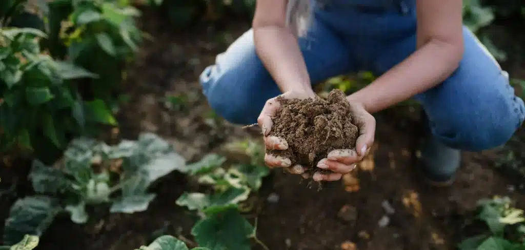 regenerative agriculture