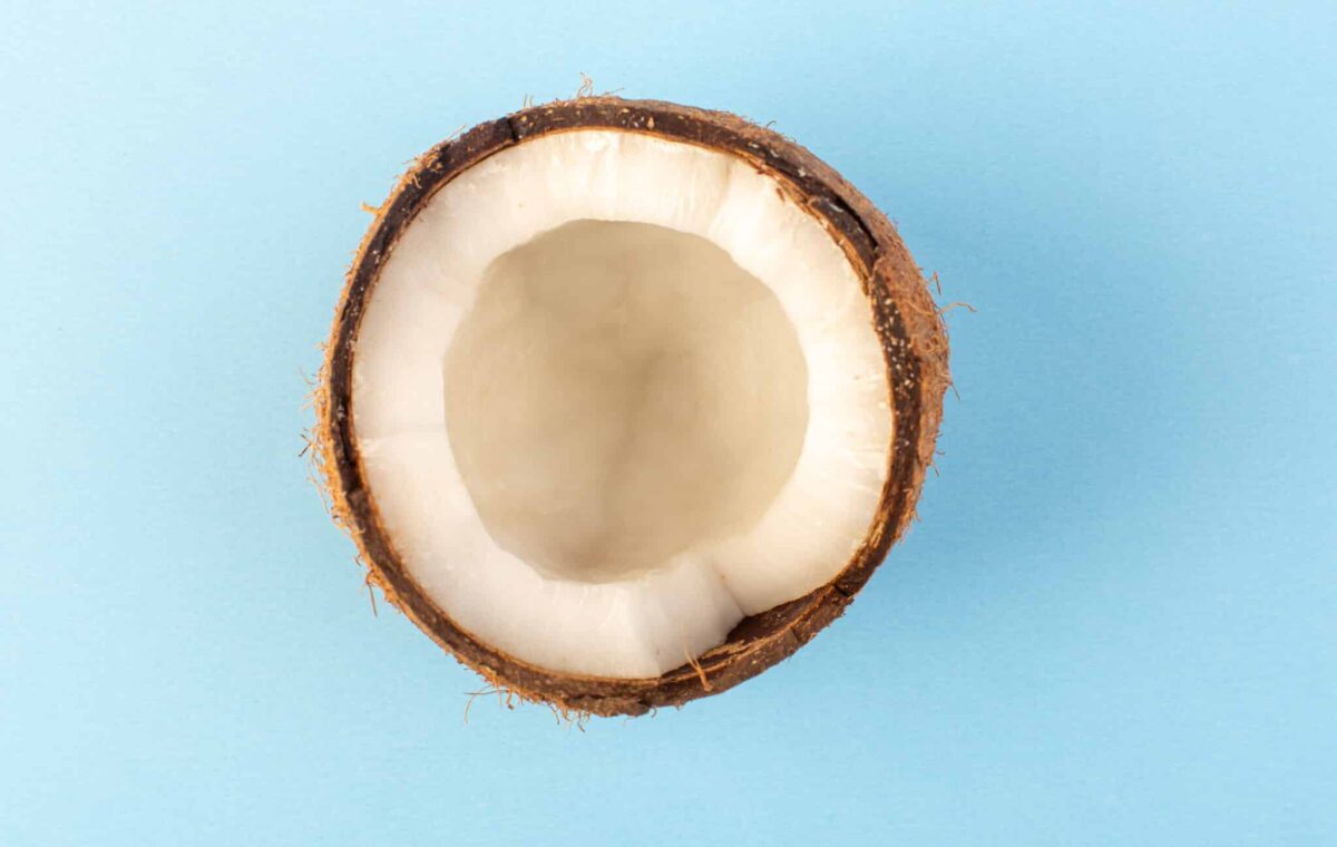 Top view coco nuts sliced milky fresh mellow isolated iced blue