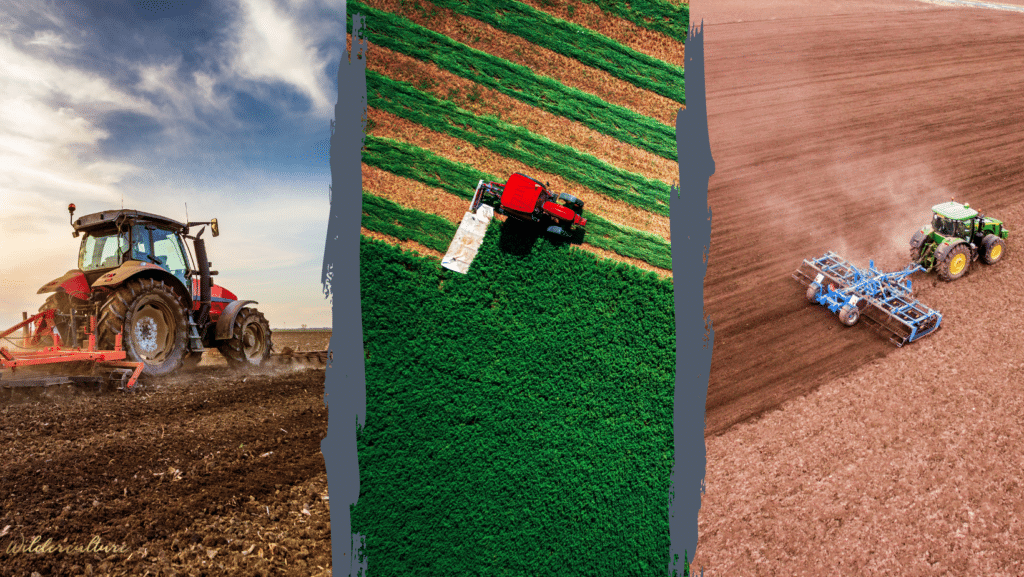 Agri-food sustainability