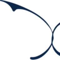 Axon Partners Group