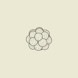 Cloudberry Ventures