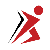 Wearable Robotics