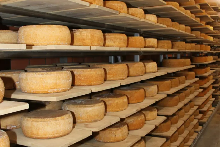 Ferm Labs raises €3M to scale fermentation-made cheese flavour