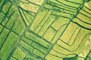 CarbonFarm raises €7M Series A to cut methane from rice