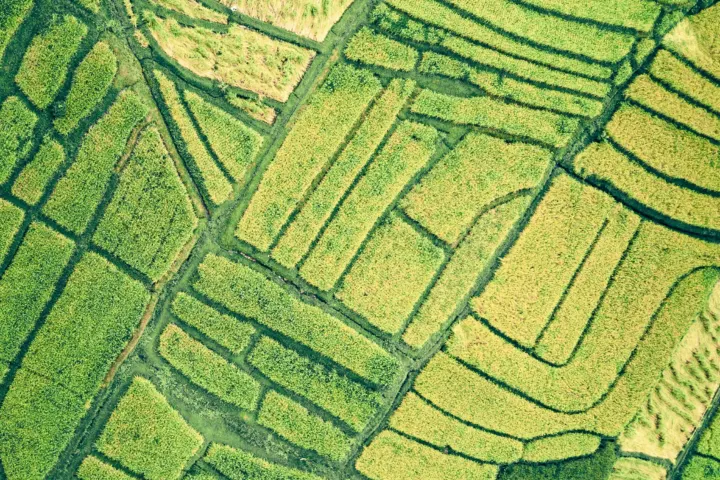 CarbonFarm raises €7M Series A to cut methane from rice