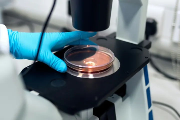 ALLOX raises $10.5M seed to map drug pockets on hard-to-target proteins